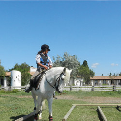 Horse riding stay